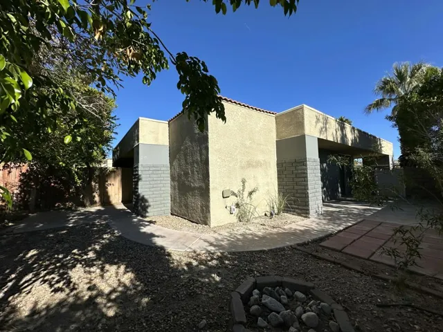 Back yard 1