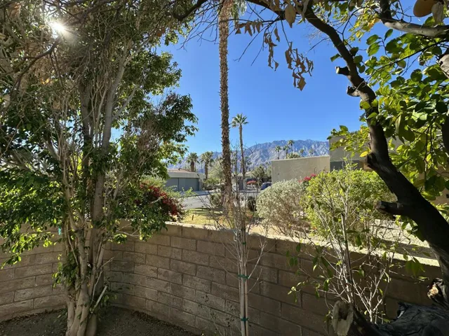 Back yard 7