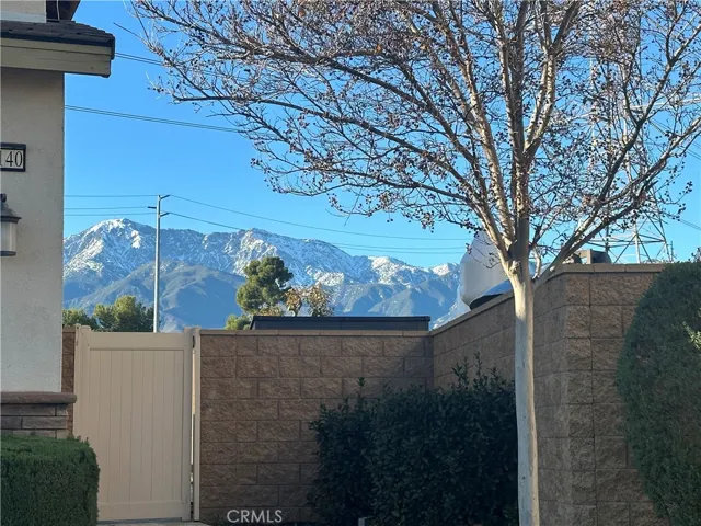 Mountain Views