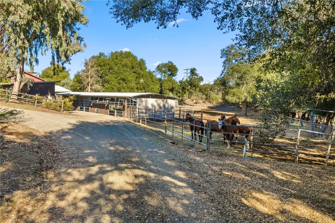 Rear Pasture with Pipe Stalls