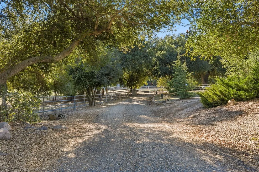 Driveway