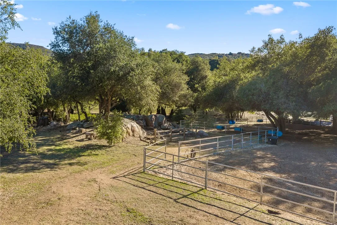 Front Pasture