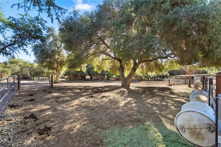 Back Pasture