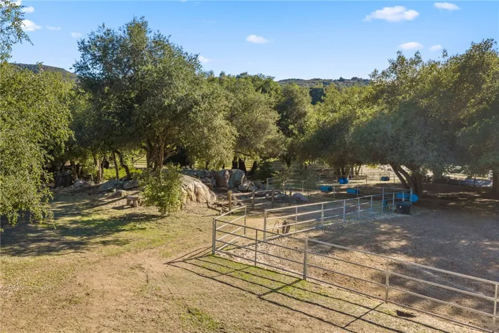 Front Pasture