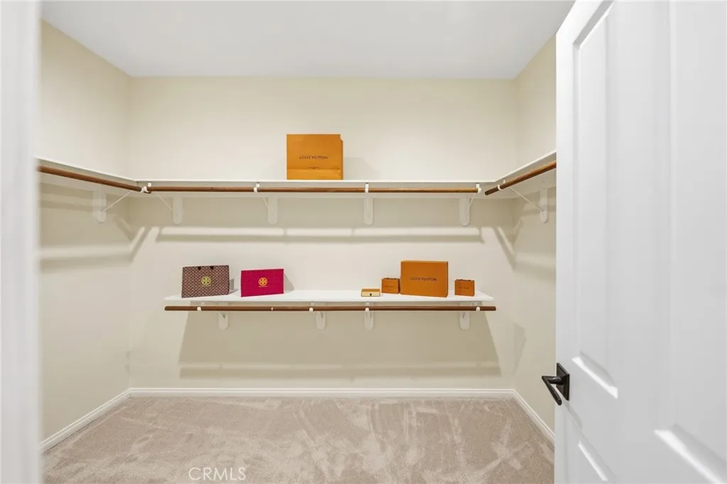 Primary Closet
