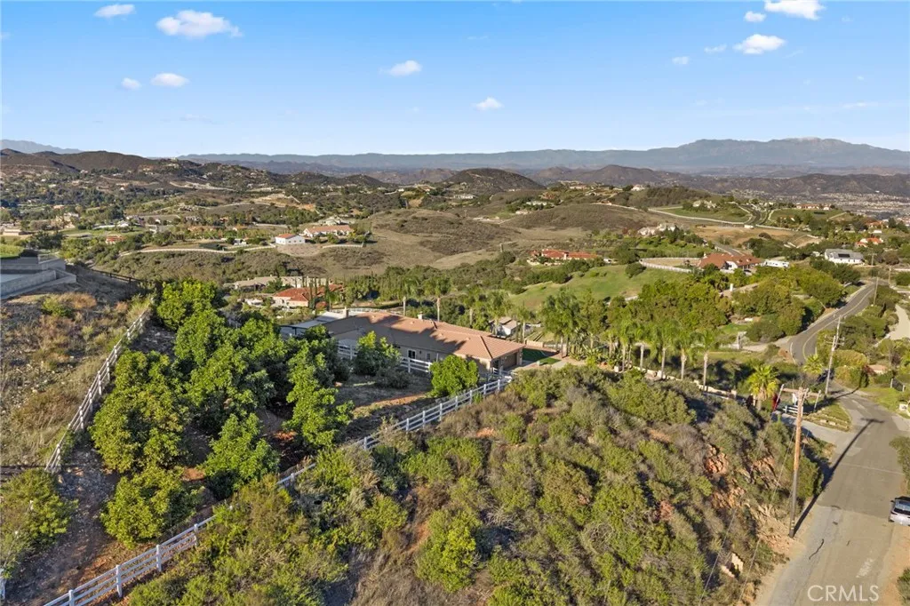Avocado Grove