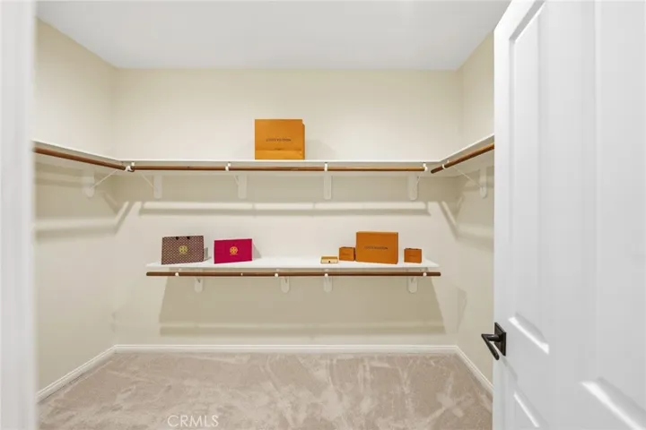 Primary Closet