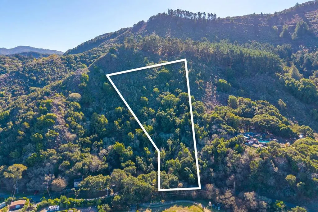 Approximate parcel outline