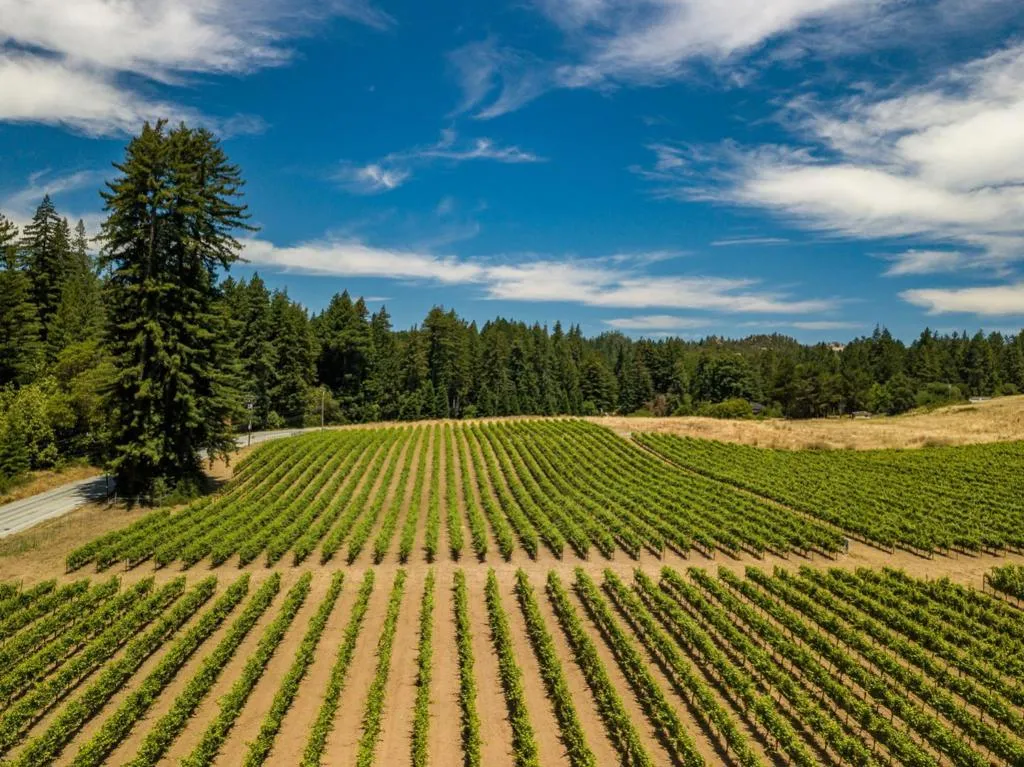 471 Country Estates Terrace, Santa Cruz, California 95060 home-pic-45