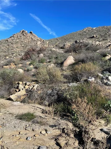View to the top of the lot