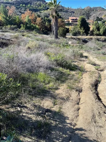 Flat area at the bottom of lot