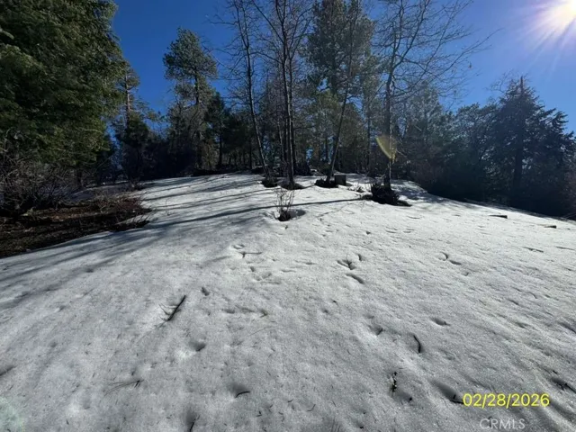 backyard recent snow