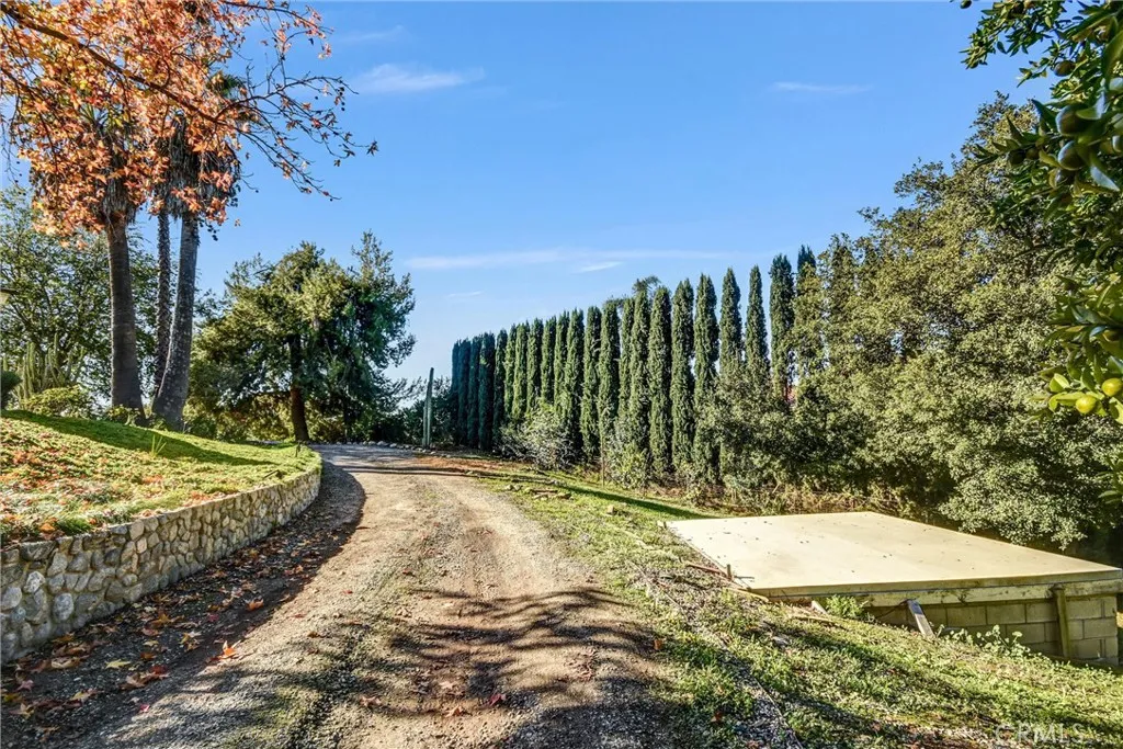 2880 N Theodora, Covina, California 91724 home-pic-52