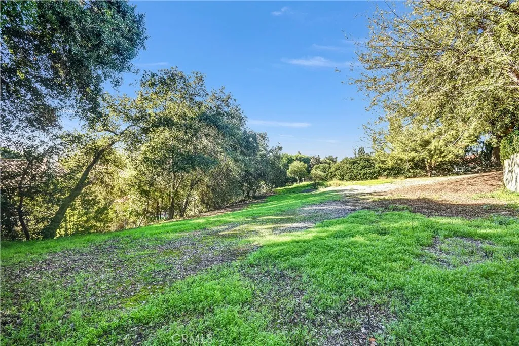 2880 N Theodora, Covina, California 91724 home-pic-47