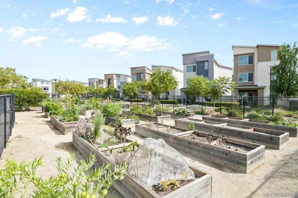 2016 Callisto Terrace, Chula Vista, California 91915 home-pic-47