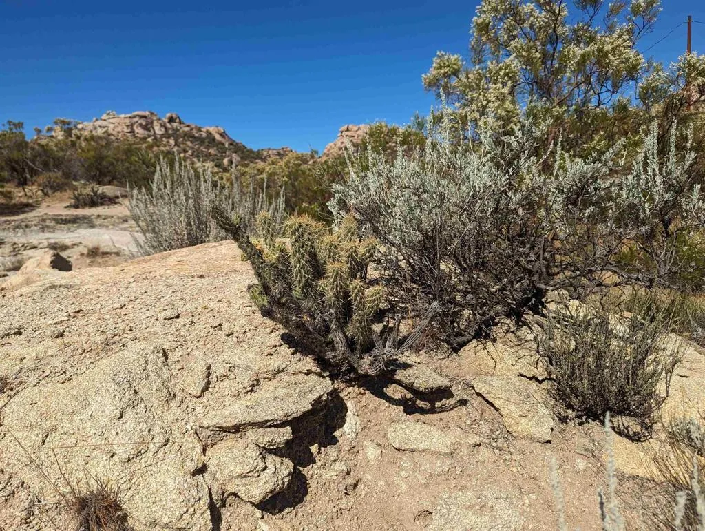 42084 Old Highway 80, Jacumba, California 91934 home-pic-8