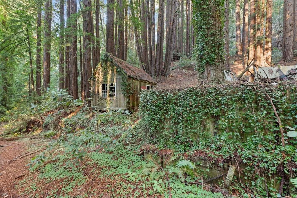 3936 Tunitas Creek Road, Half Moon Bay, California 94019 home-pic-4