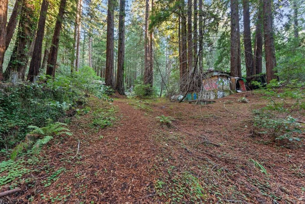 3936 Tunitas Creek Road, Half Moon Bay, California 94019 home-pic-3