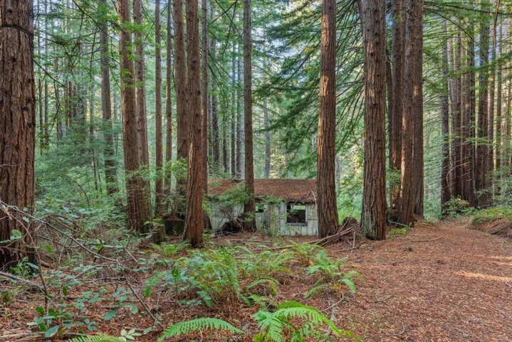 cabin