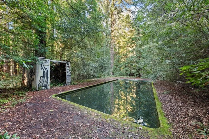 pool above main house