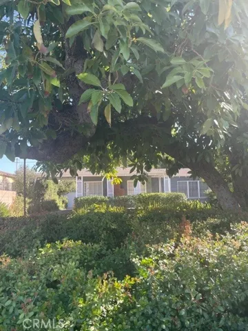 1324 S 1st Avenue, Arcadia, California 91006