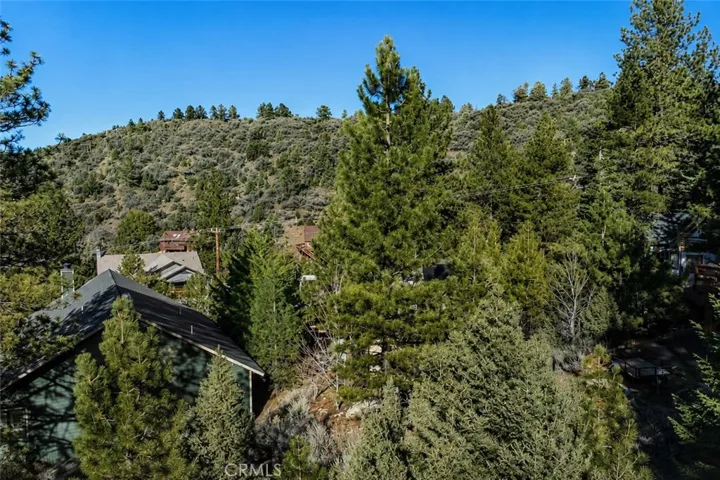 15113 Chestnut Drive, Pine Mountain Club, California 93222 — photo 4