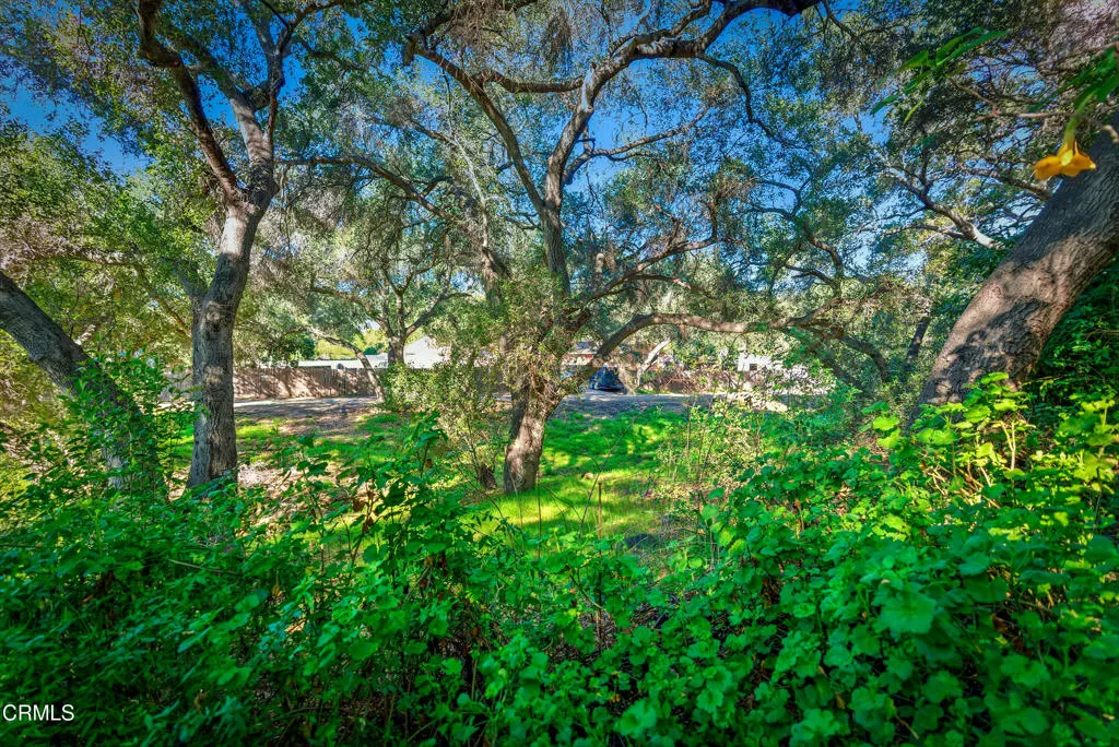 1400 Park Drive, Ojai, California 93023 home-pic-46