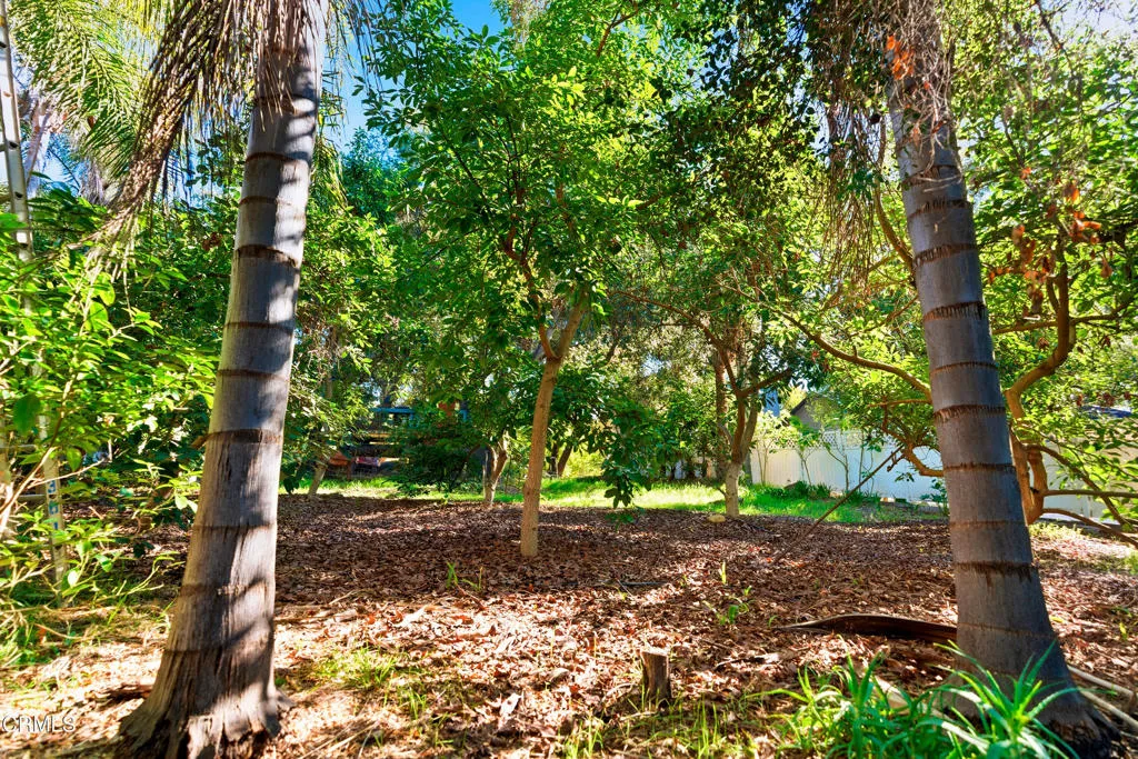 1400 Park Drive, Ojai, California 93023 home-pic-47