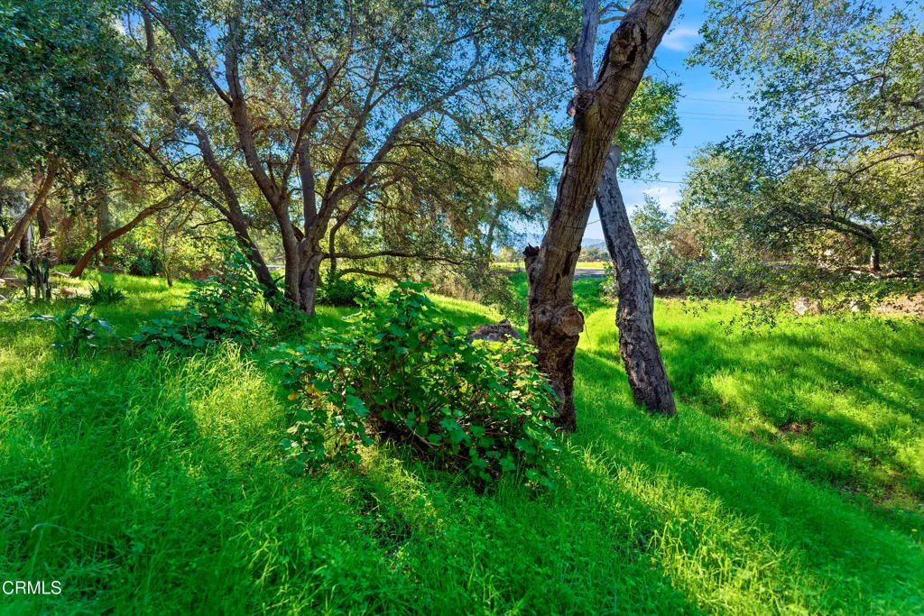 1400 Park Drive, Ojai, California 93023 home-pic-44