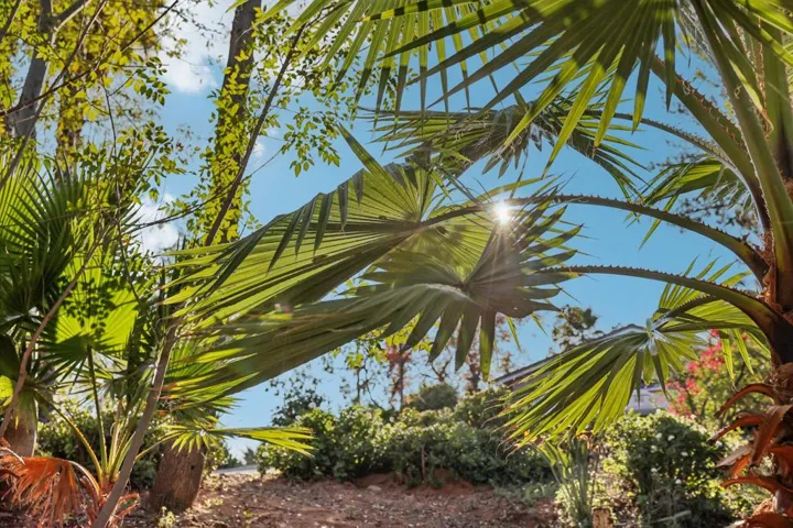 250-web-or-mls-26086 Bear Valley Heights