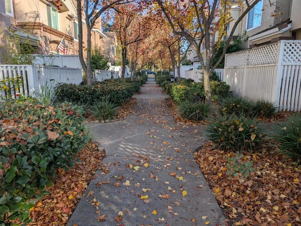 6937 Rodling Drive C, San Jose, California 95138 home-pic-14