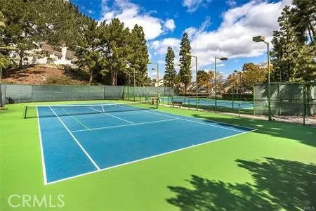 46 Meadowood, Aliso Viejo, California 92656 home-pic-39
