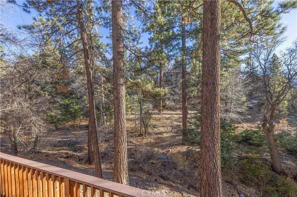43555 Colusa, Big Bear Lake, California 92315 home-pic-23