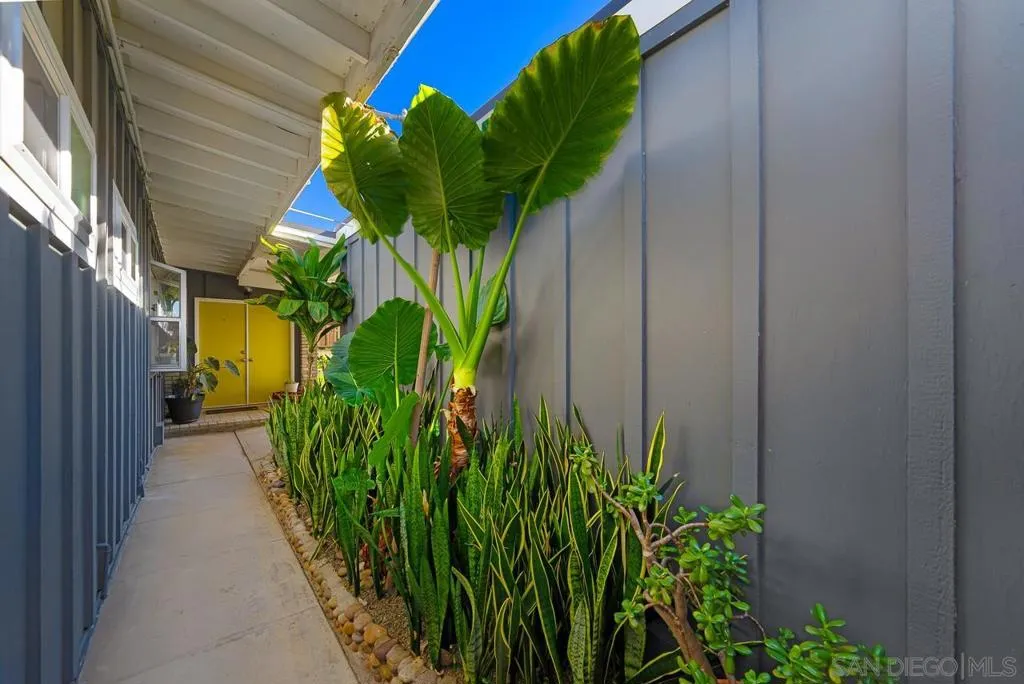 6209 Amber Lake Ave, San Diego, California 92119 home-pic-2