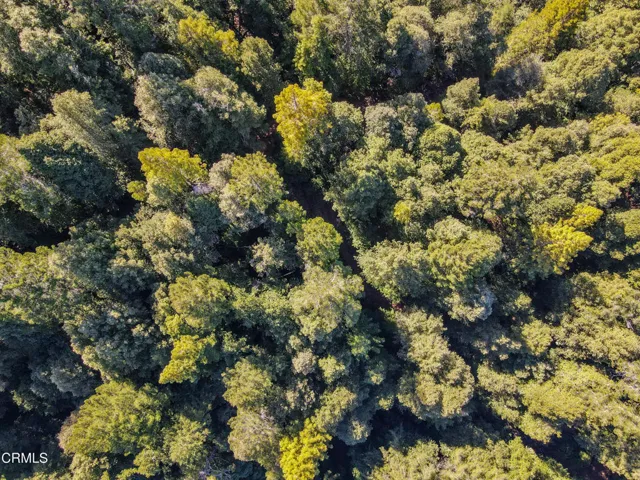 dji_fly_20250226_130350_199_174060384266