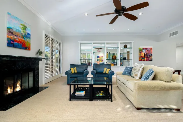 Living Room and Fireplace