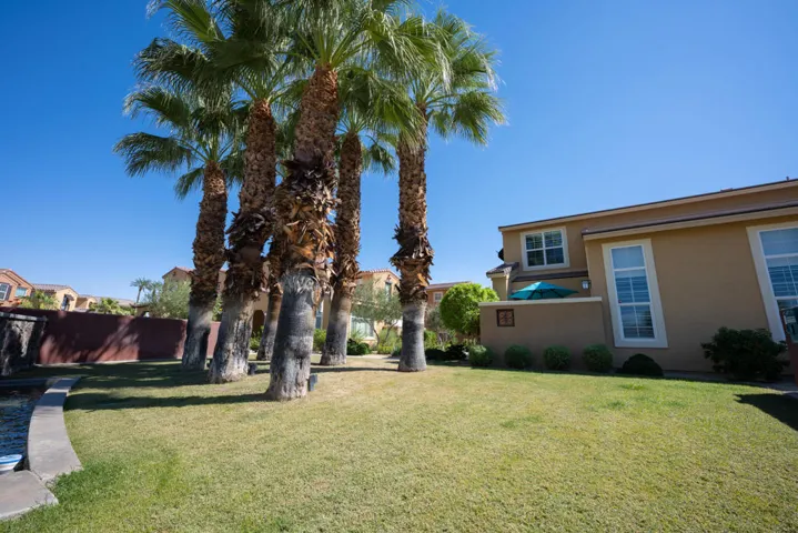 52298 Rosewood by Chris Casas-34