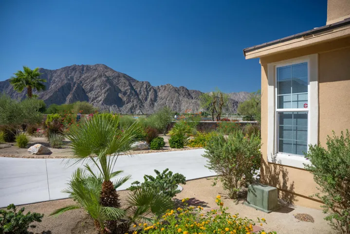 52298 Rosewood by Chris Casas-4