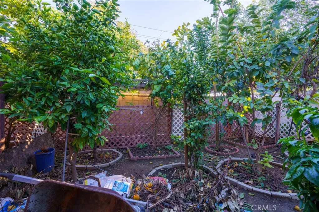 1553 W Ceres, Rialto, California 92376 home-pic-51