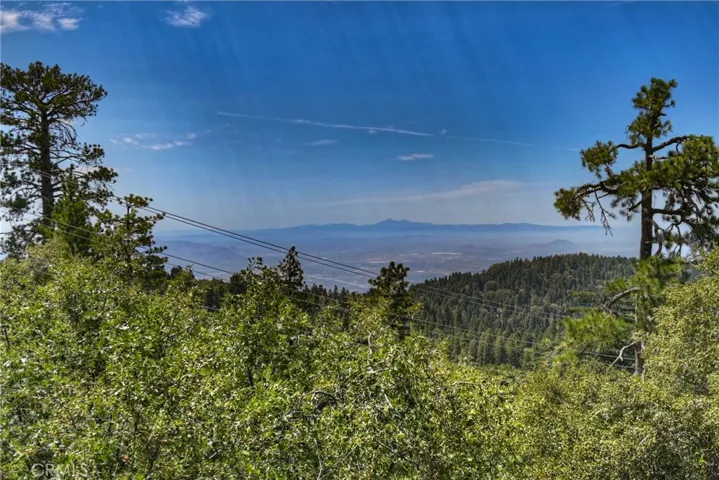 25515 True, Twin Peaks, California 92391