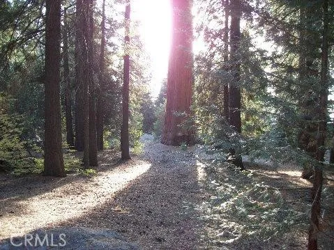 54584 Ponderosa Dr