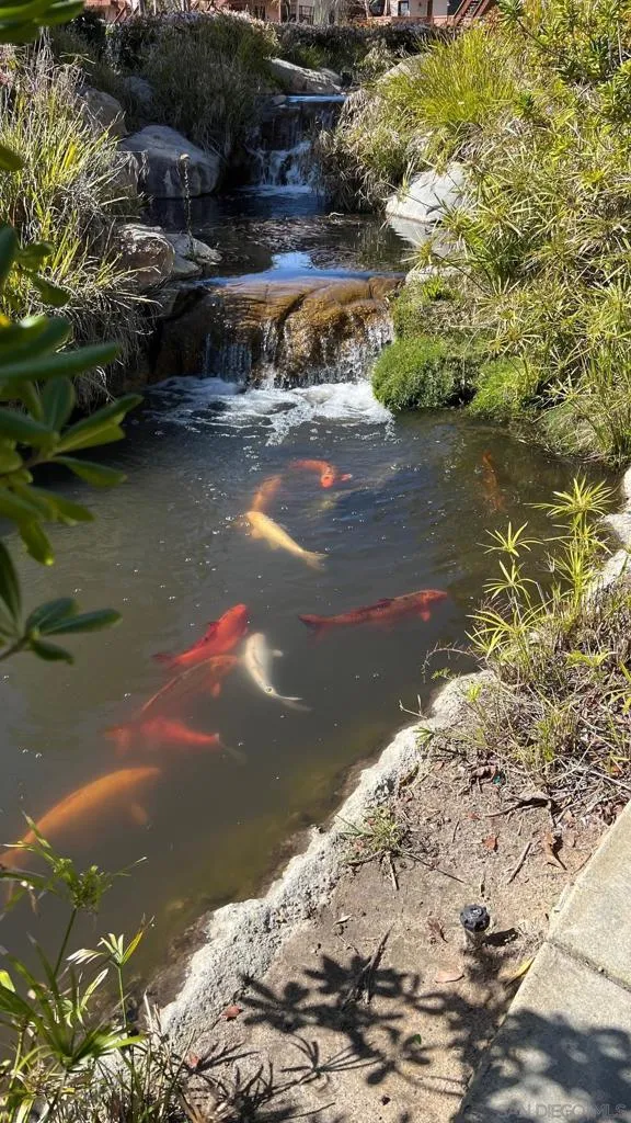 4035 Carmel View Road  home-pic-16