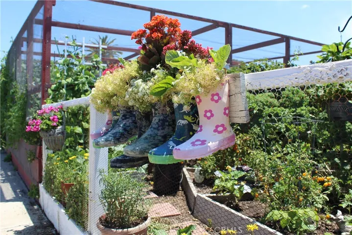 Rent a Garden Plot