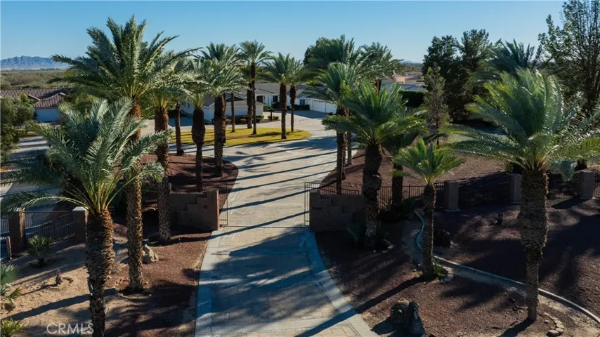 Majestic Palms Line the Property