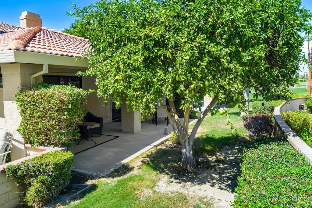 4 Maximo Way, Palm Desert, California 92260 home-pic-3