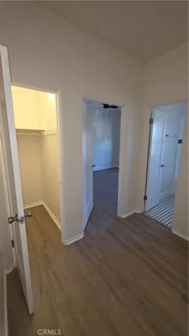 Closet in the hallway