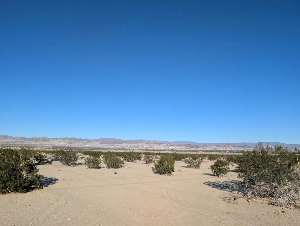 29 Palms Indian 1