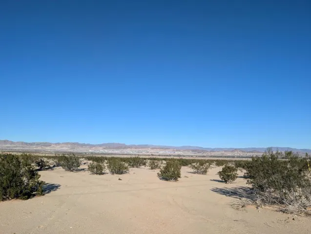 29 Palms Indian 1