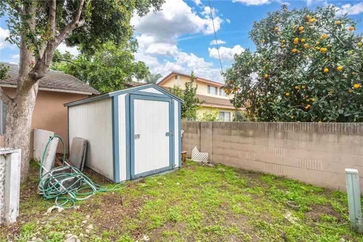 BACKYARD 2