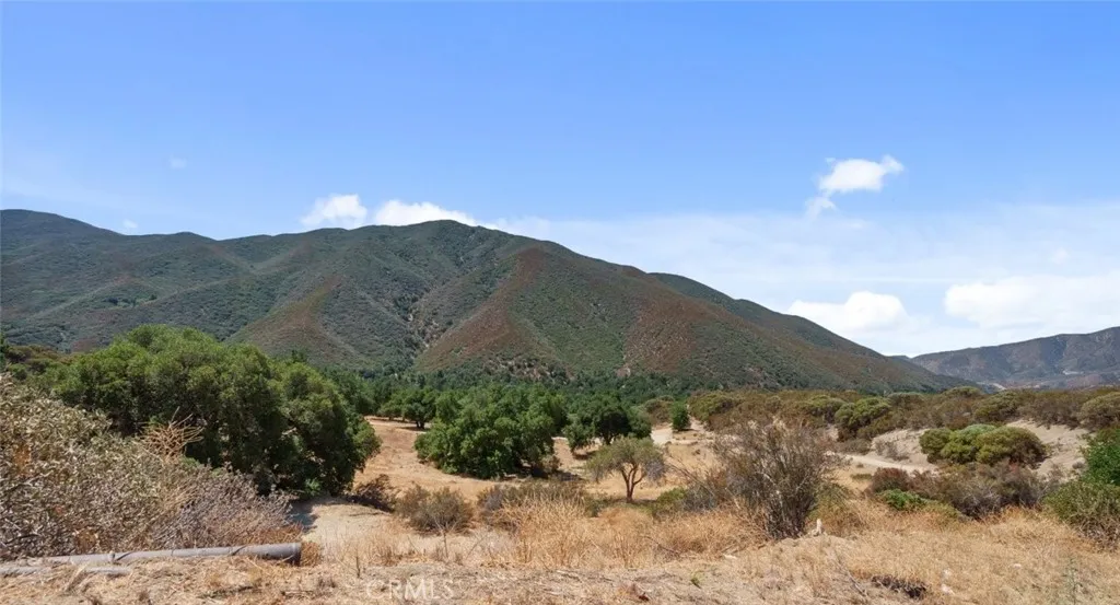 39813 Calle Carona, Green Valley, California 91390 home-pic-23